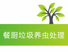 餐廚垃圾黑水虻養殖工藝